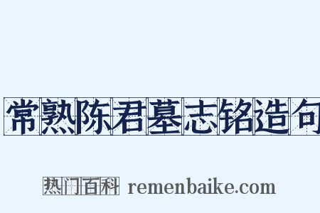 常熟陈君墓志铭造句是什么意思的图片
